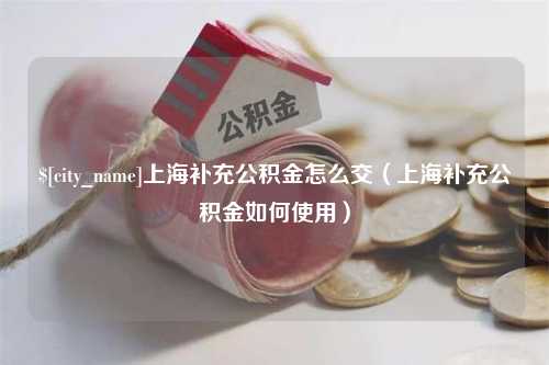 广汉上海补充公积金怎么交（上海补充公积金如何使用）